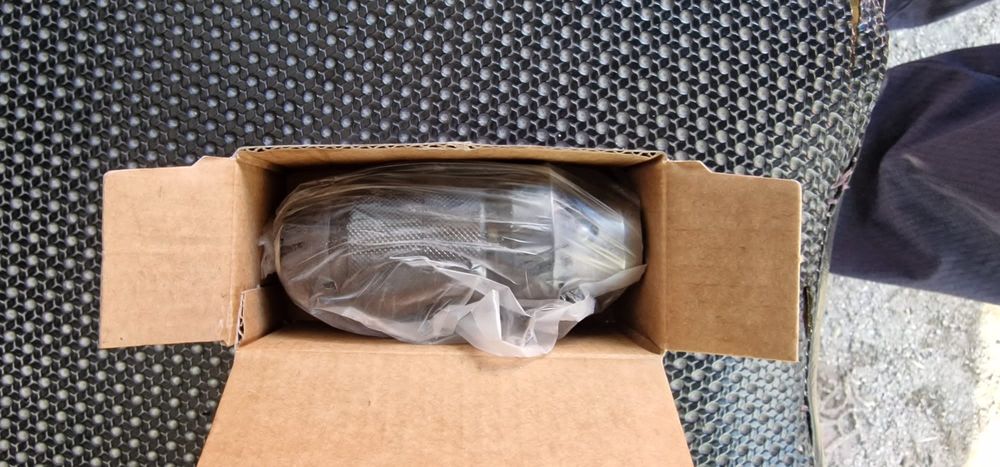 Mandrina rapida Bosch