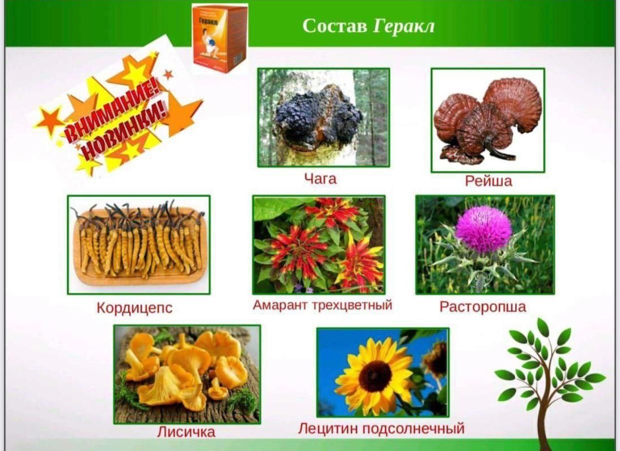 BIOTONIC HERCULES,,успокаивает нервную систему.