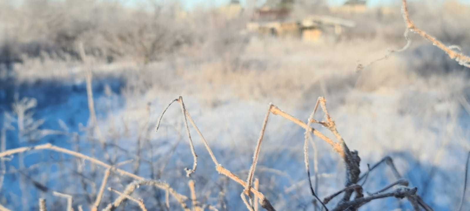 Дача СО Дархан возле конторы