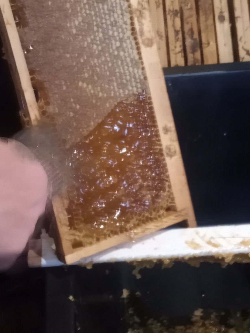 100% чист домашен мед