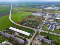 Teren 1,5ha intravilan curti constructii de vanzare Centura Arad Nord
