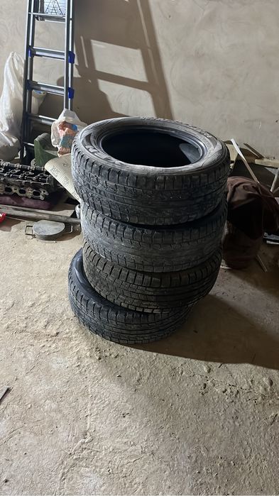 Пакришка