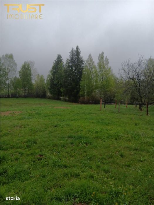Teren cu casa l Dealu Negru l 15.000 MP l Central