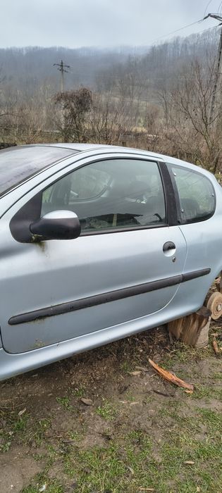 Piese Peugeot 206