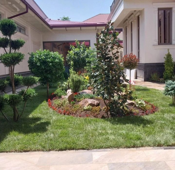 Газон европа уруғларидан палив ланшафт  хизмати мавжуд