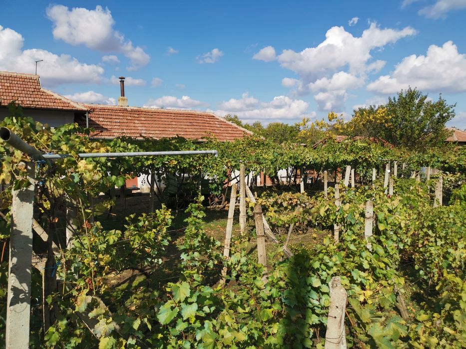 Продавам къща в село Пелишат, Плевенско
