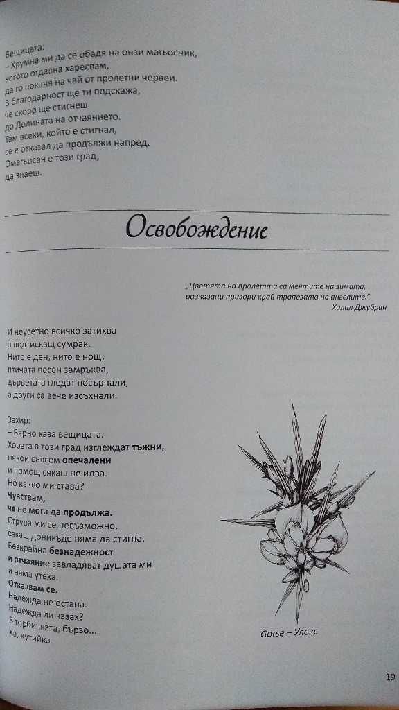 Учебник БАХОВИ КАПКИ Терапия д-р Бах Самолечение Цветни есенции Цветя