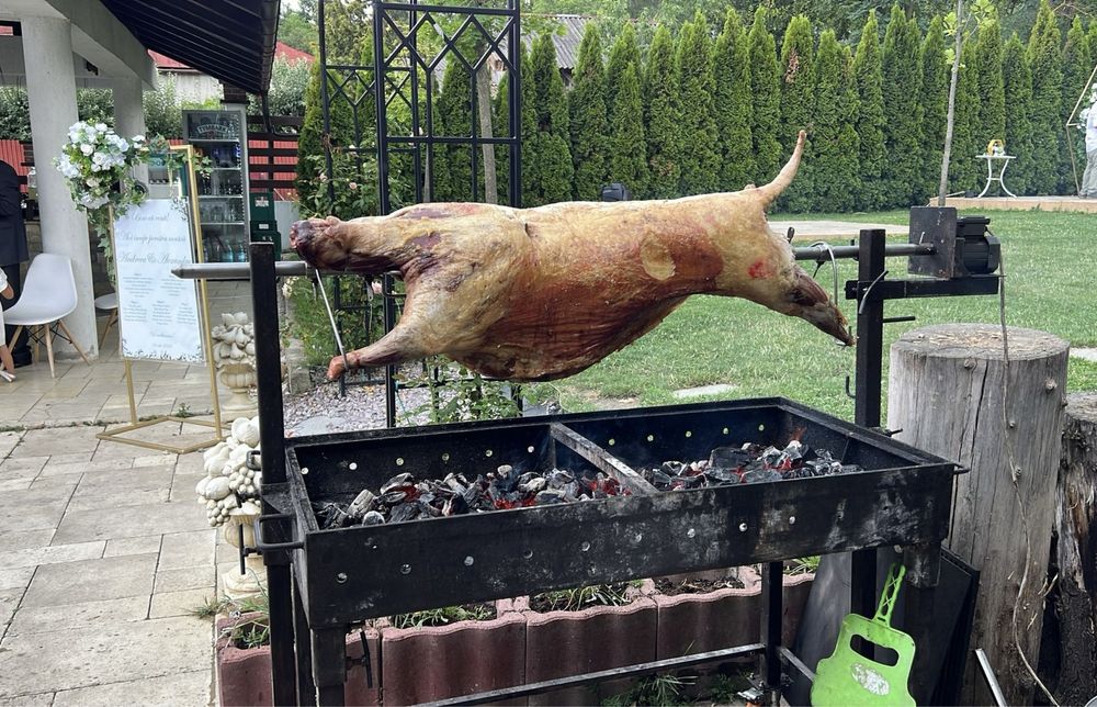 Organizez proțap pentru diferite evenimente