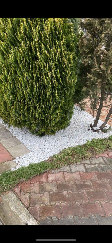 Piatra Ornamentala Decorativa Curte ,Gradina