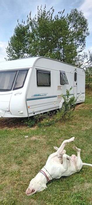 Coachman Amara 580/4 an 2004