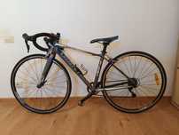 Cursiera GIANT Defy.