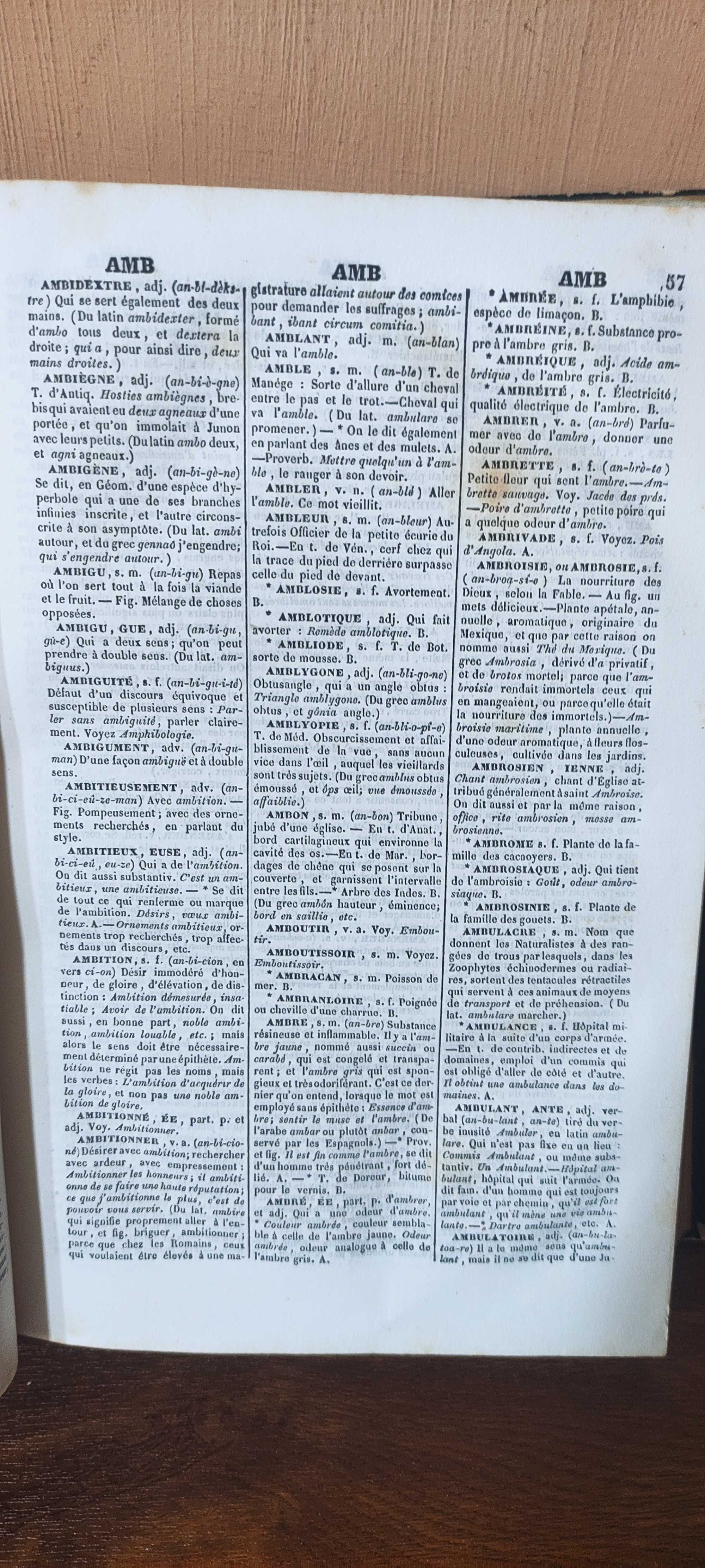 Vechi dicționar explicativ al limbii franceze / două volume / 1844