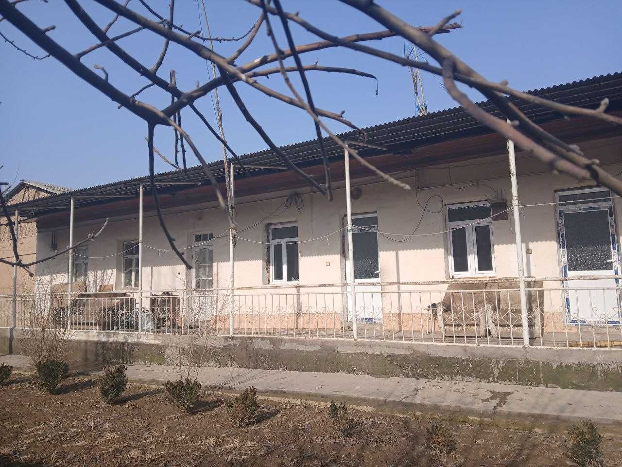 Назарбек Бешкургонда ховли сотилади. NR494/159