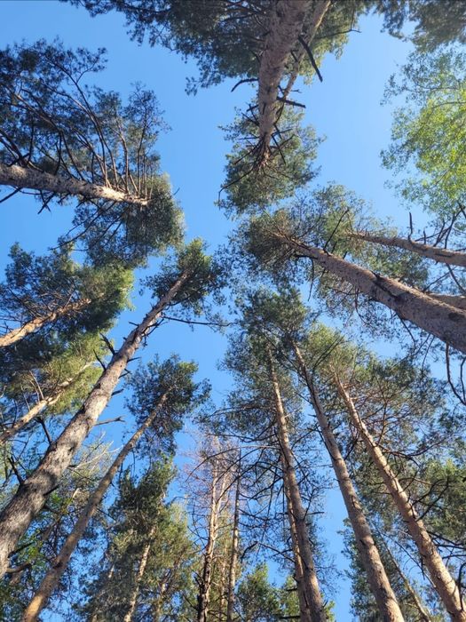 Сдаётся домик в экологично чистой местности. В 30 км. От Алматы