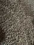 Triticale de samanta