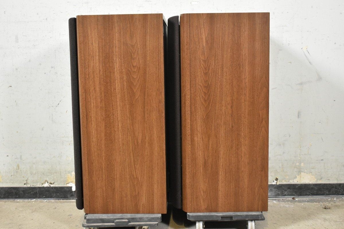 Акустическая система Diatone DS-700z.
