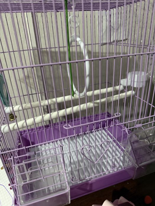 Новая клетка для попугая