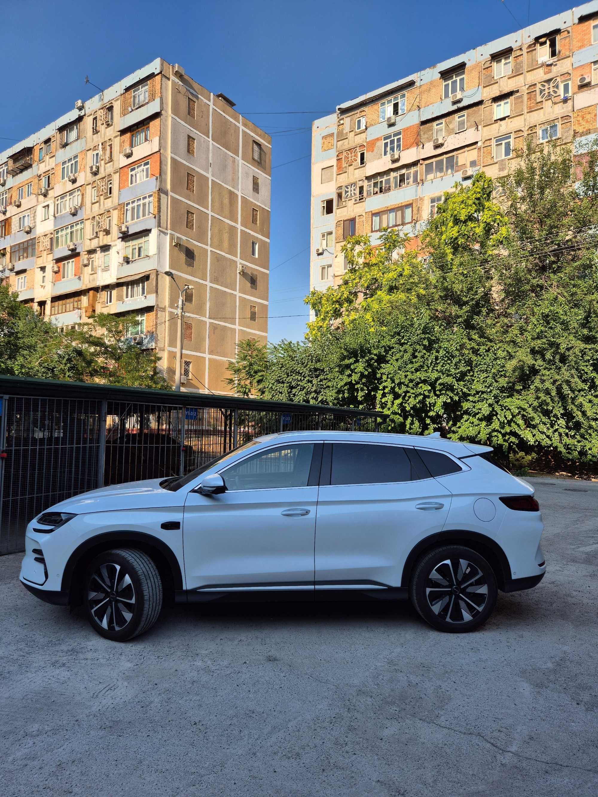 BYD SONG PLUS Champion Smart Drive 605 км Нотариус