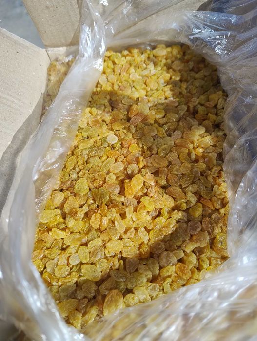 Стафида Тъмна/Златна - 5 кг кашони