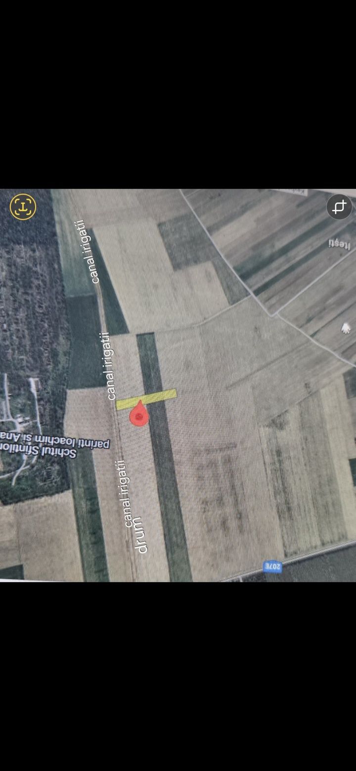 Teren  extravilan Dumbrava  Itesti Bacau