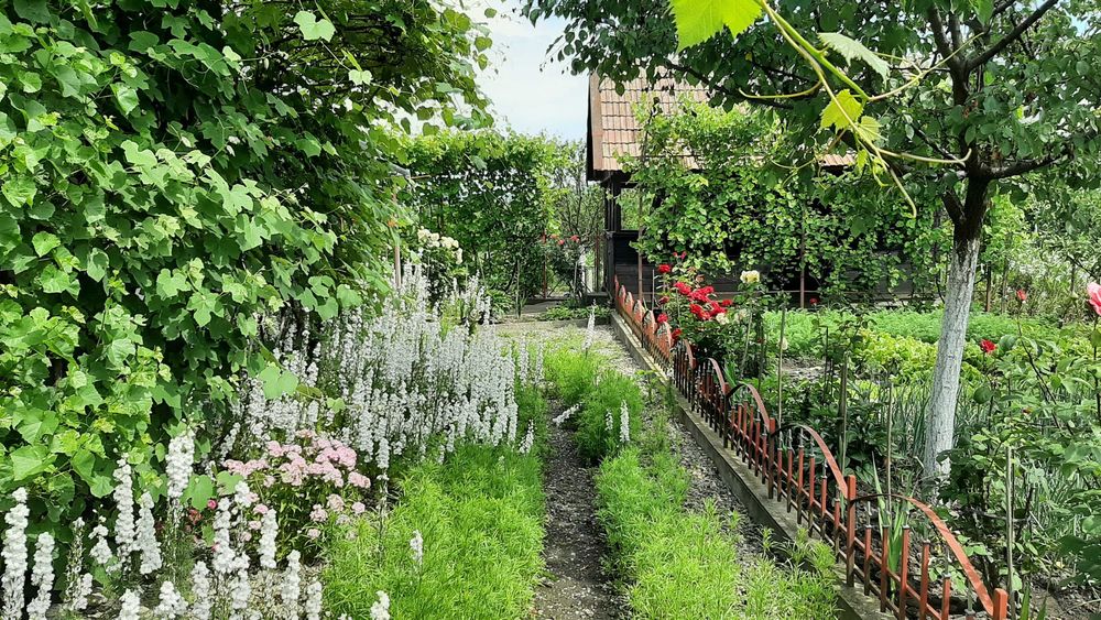 Casa si gradina in Chetani