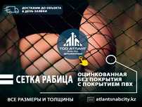 Рабица от производителя с доставкой до объекта. Звоните! Любые размеры