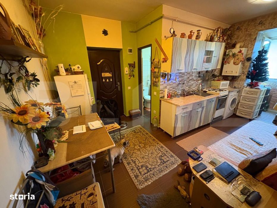 Apartament cu 2 camere, 33 mp, zona Porii