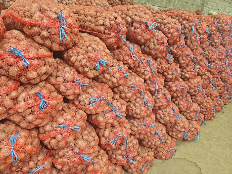 Cartofi samanta ESMME de calitatea I-a