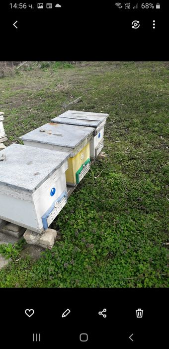 Продажба на кошери