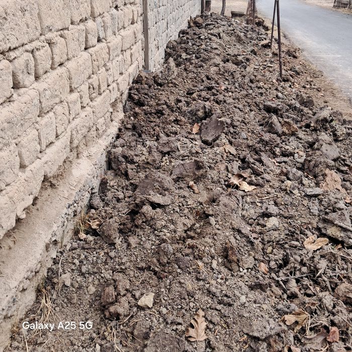 Agarot uchun oʻgʻit