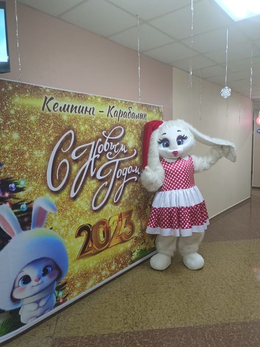 Ростовые костюмы