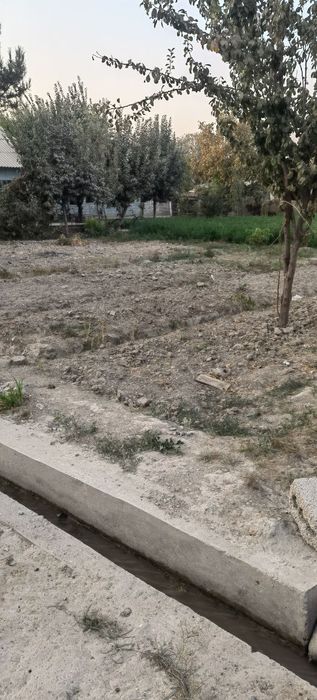 Qumqo'rg'on tumanida Qorsoqli mfuda