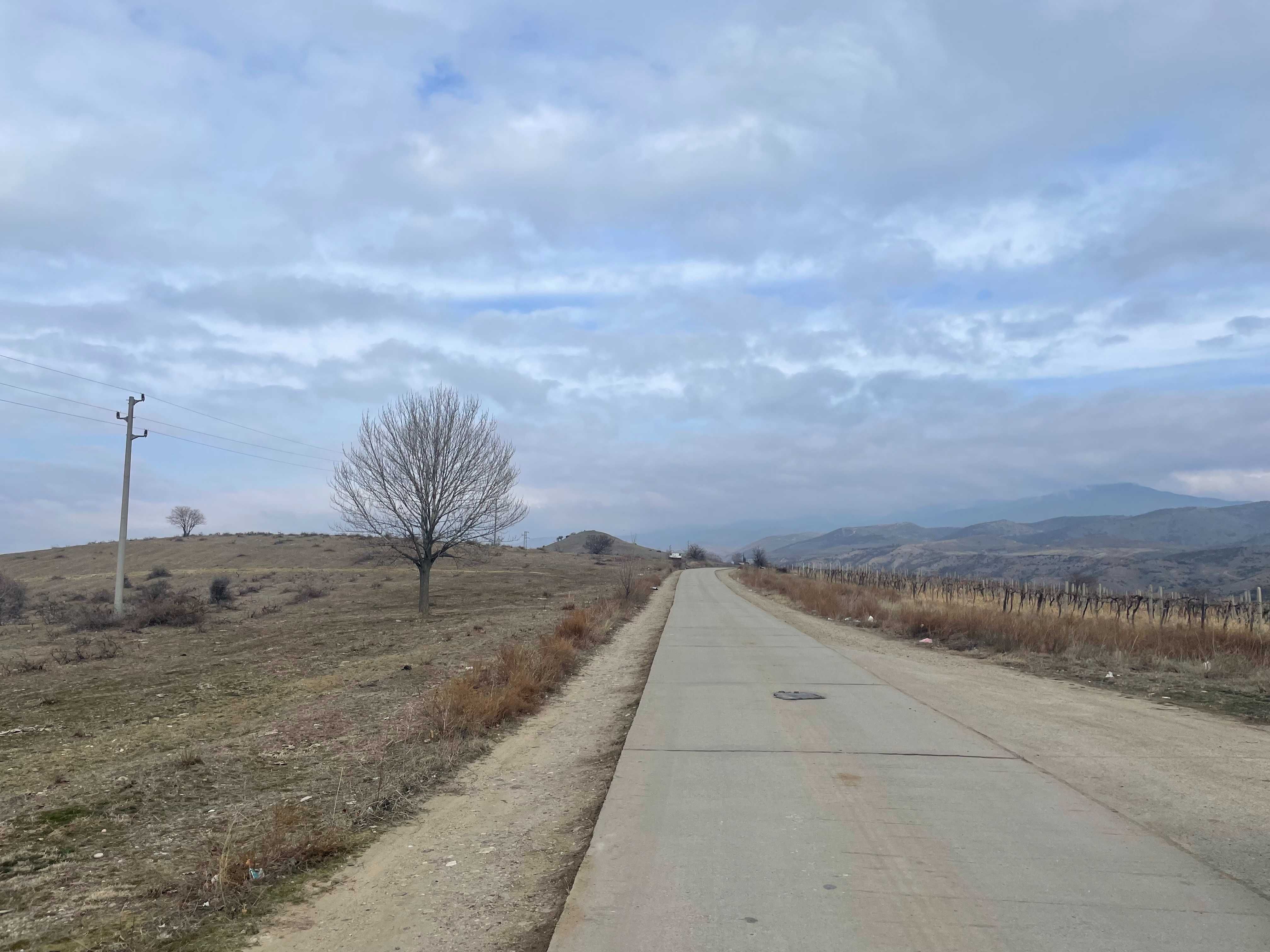 Лозе на  2.5 км до Сандански 1000кв.м