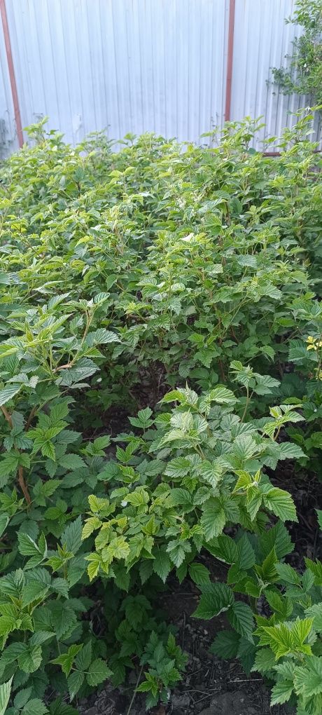 Продам дом на Комбинатском