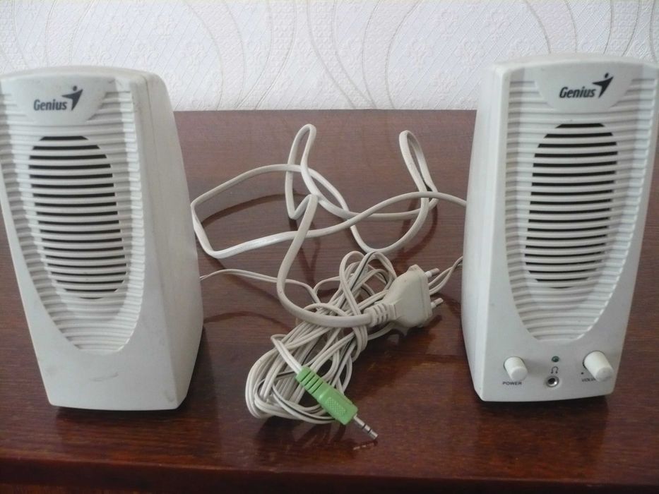 Акустические колонки Genius SP-P100 для компьютера или ноутбука