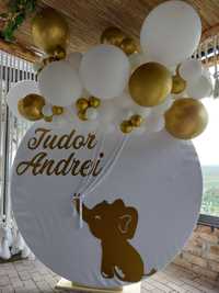 Arcada / decor evenimente din baloane / arcada botez/ aniversare