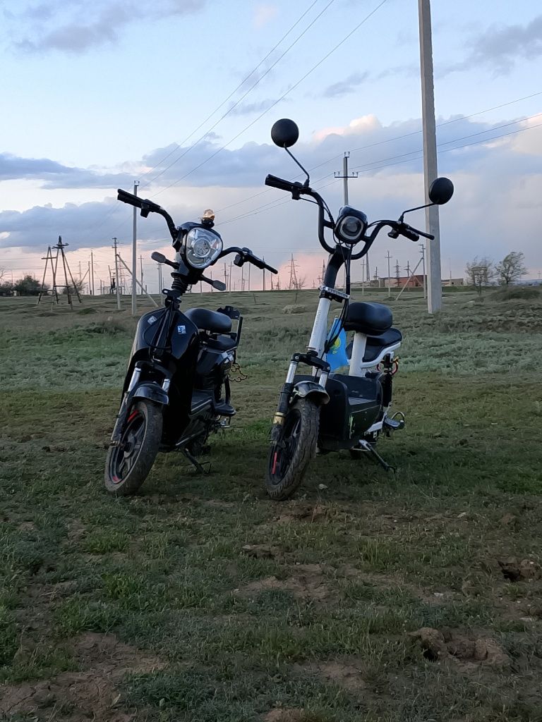 Sk8 электровелик