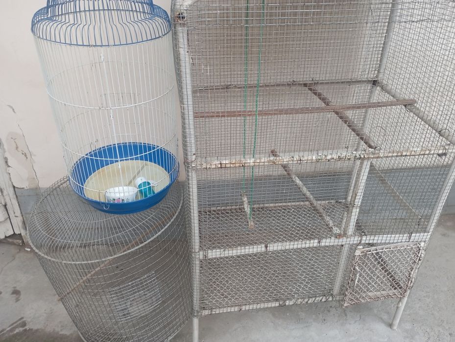 Продается Валер для птиц