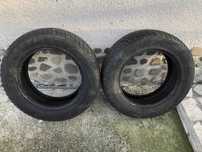 Гуми 225/65R17 106H