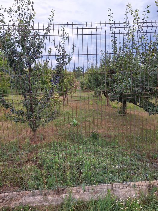 De vânzare loc de casă 650 mp