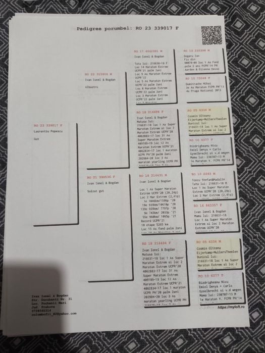 Femelă Matcă 2024 Originalilate Ivan & Bogdan