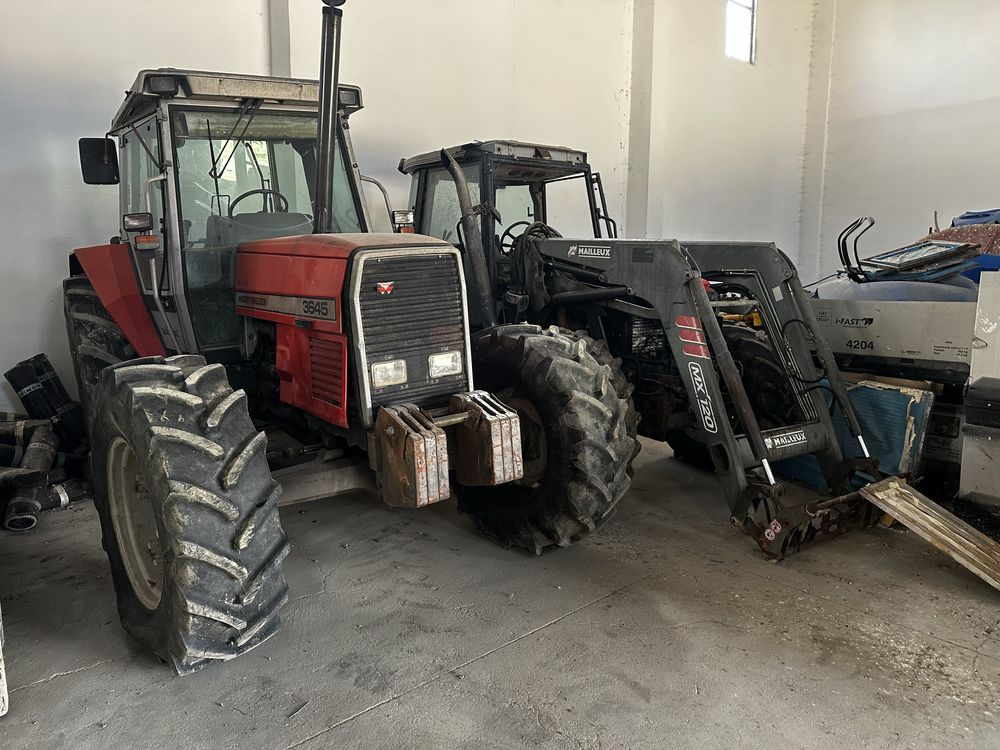 Lot 3 tractoare Massey Ferguson