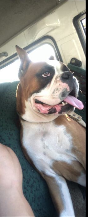 ВЯЗКА ! Не продается.