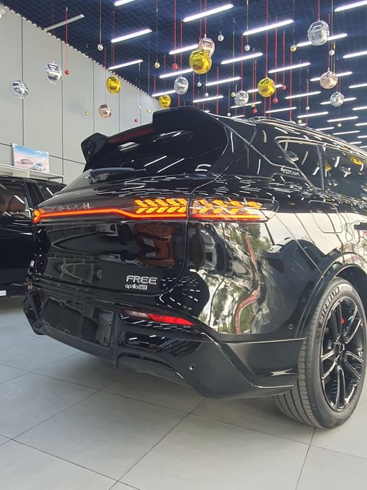 Voyah free 318. Apollo tech. Full. 4x4.