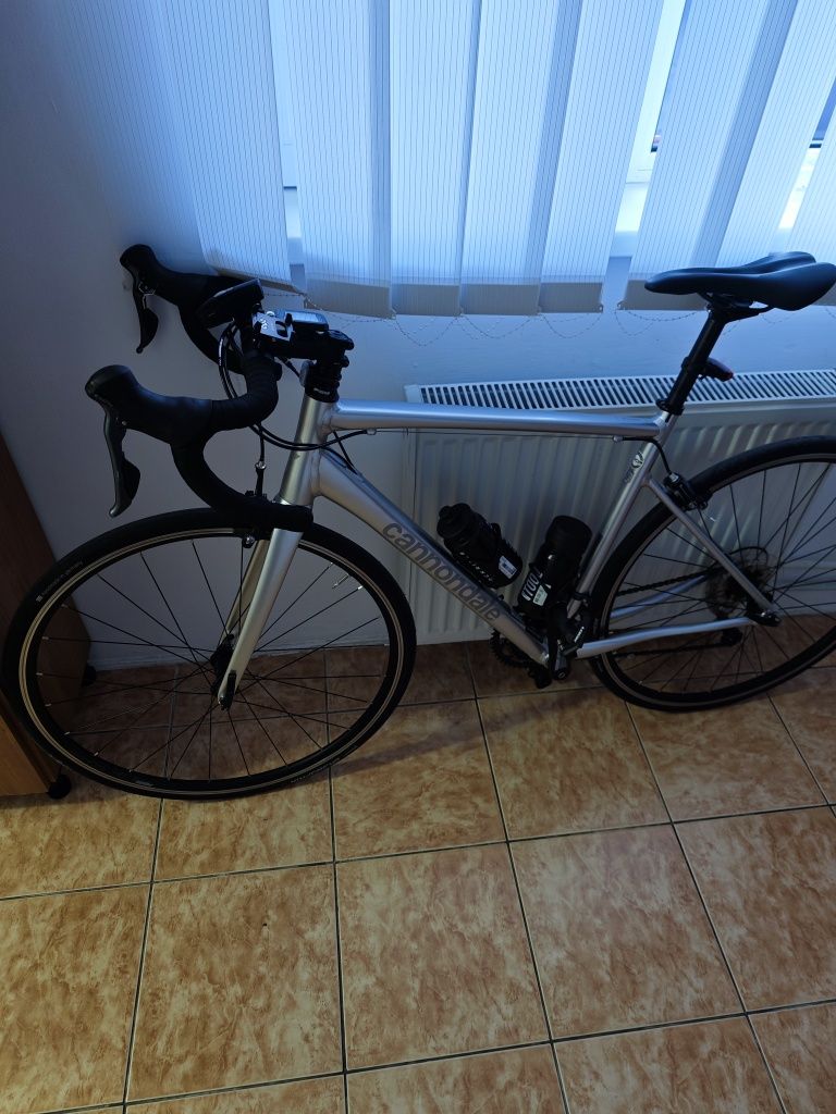 Cursiera cannondale