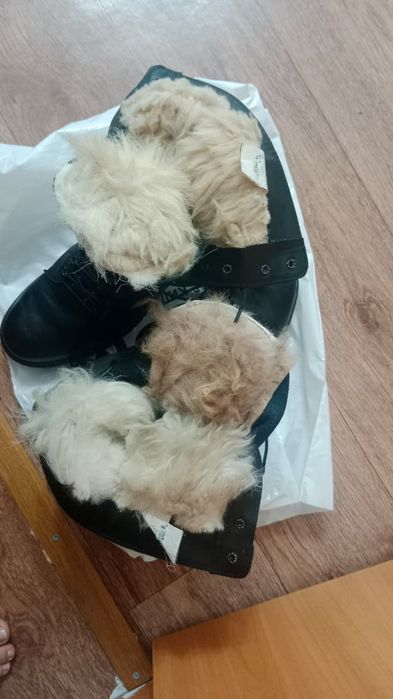 Продается берцы новый фирма ДОФ