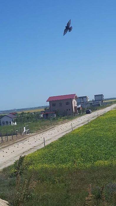 Teren intravilan pentru casa