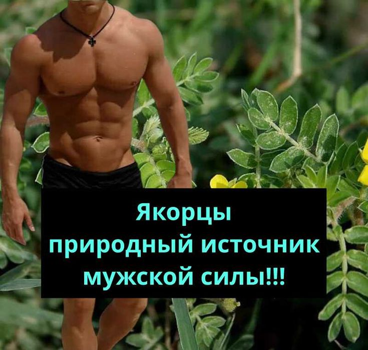 Трава для мужского здоровья !!!