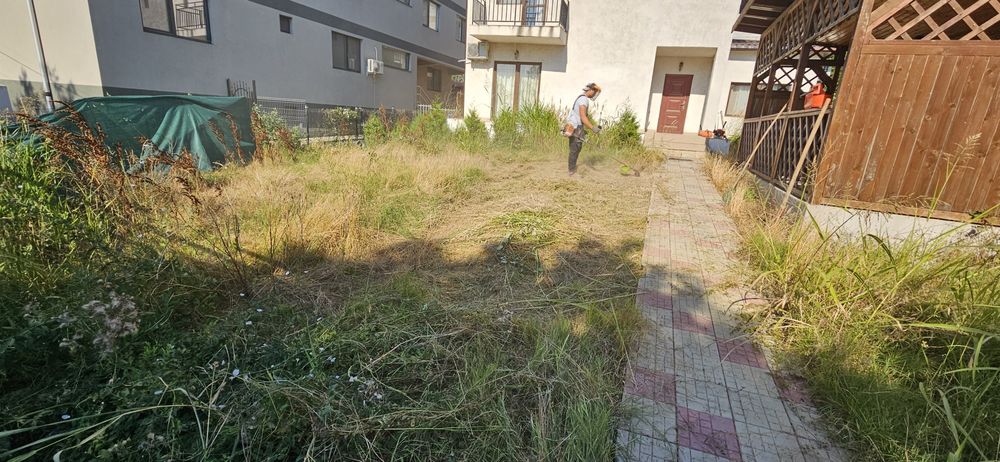 Defrisare mecanizata -curatare terenuri transport resturi vegetale