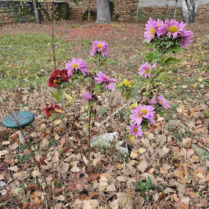 Къща с душа в с. Бероново